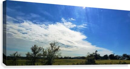 Skies Canvas Print