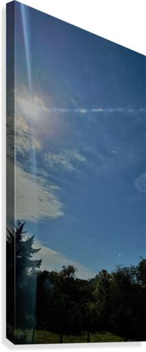 Skies Canvas Print