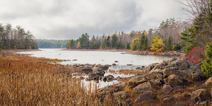 Autumn lakeshore panorama