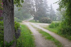 A Quiet Country Lane