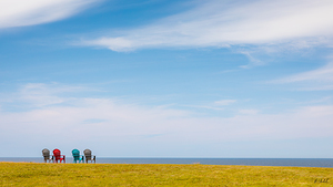 Have A Seat and Enjoy the View