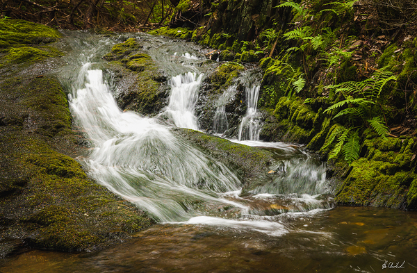 Kentville Ravine Waterfall by Hugh Chisholm Photography