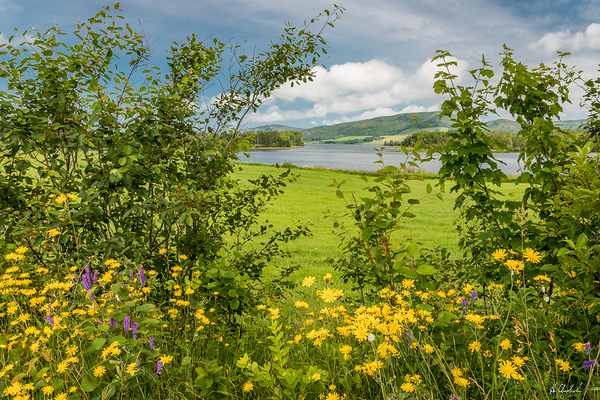 Summer in the Country by Hugh Chisholm Photography