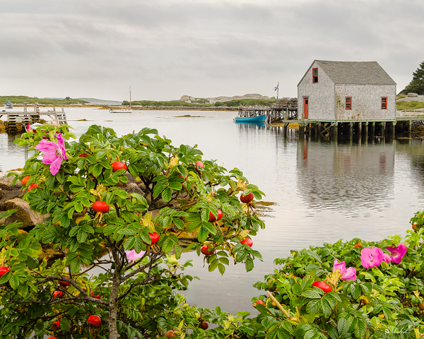 Prospect Fishing Shed by Hugh Chisholm Photography
