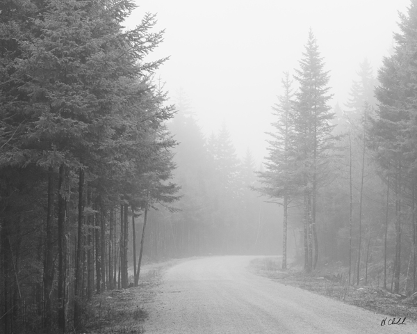 Fog along the trail by Hugh Chisholm Photography