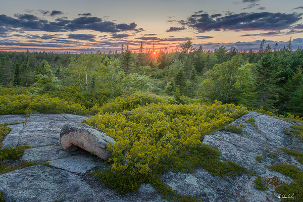 Sunset over the forest by Hugh Chisholm Photography