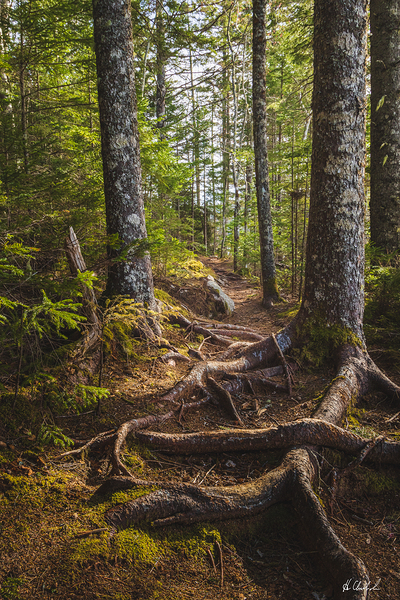 Watch your step  by Hugh Chisholm Photography