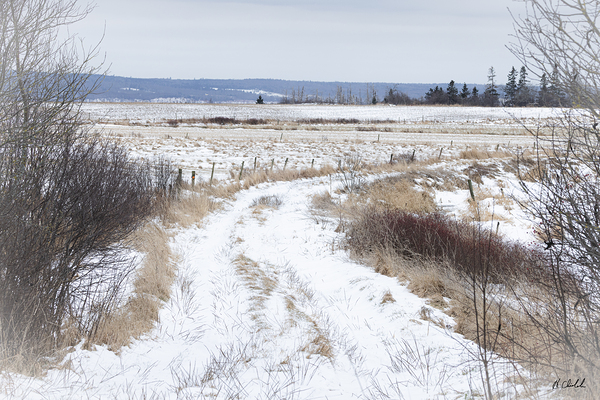 Country Lane in Winter by Hugh Chisholm Photography