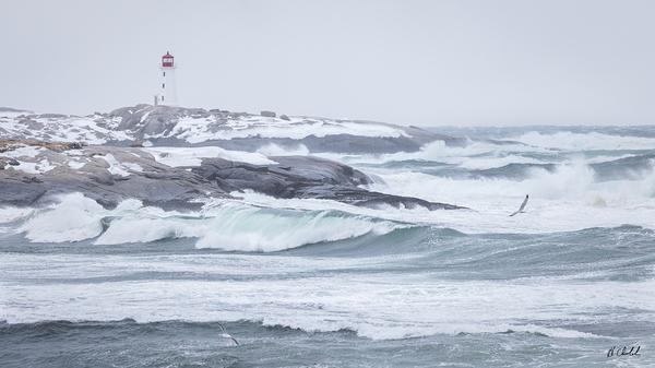 Stormy Seas at Peggy s Cove by Hugh Chisholm Photography