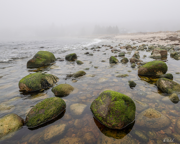 Mossy beach rocks by Hugh Chisholm Photography