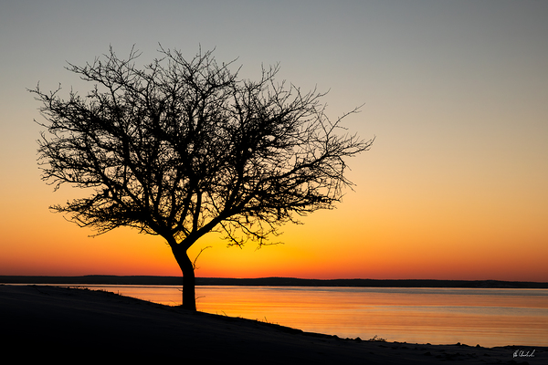 Morning Golden Hour by Hugh Chisholm Photography