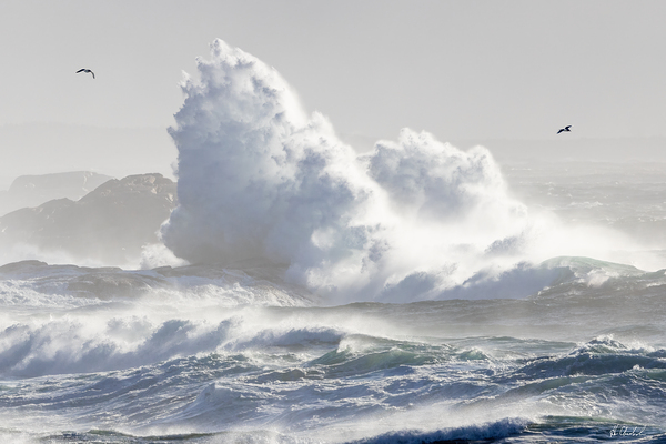Explosive Wave by Hugh Chisholm Photography
