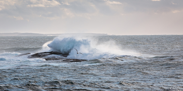 Flying Low by Hugh Chisholm Photography