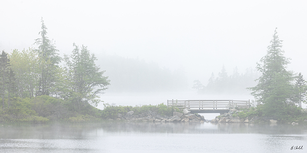 Cranberry Lake Bridge by Hugh Chisholm Photography