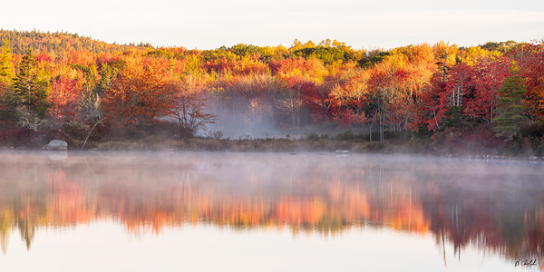 Misty Fall Morning by Hugh Chisholm Photography
