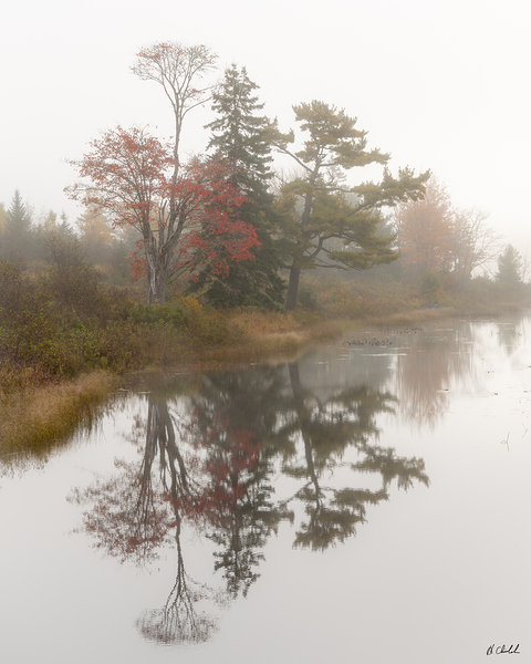 Pastel Reflections by Hugh Chisholm Photography