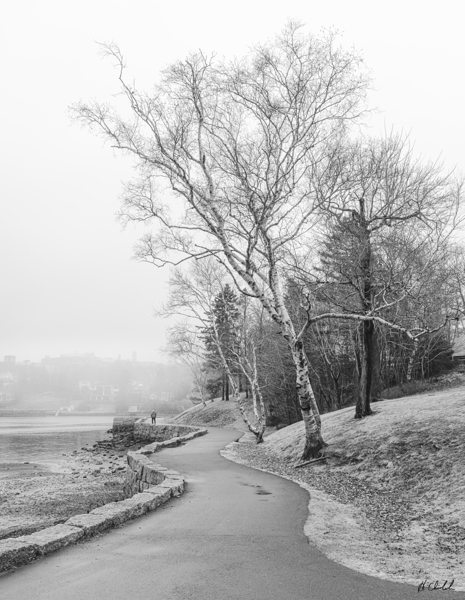 Solitary Walkway by Hugh Chisholm Photography