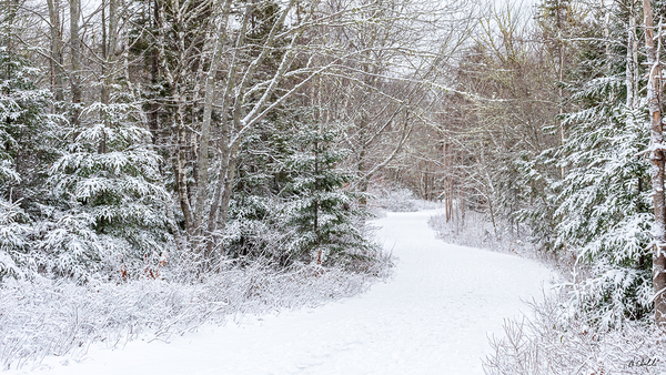 Country Road in WInter by Hugh Chisholm Photography