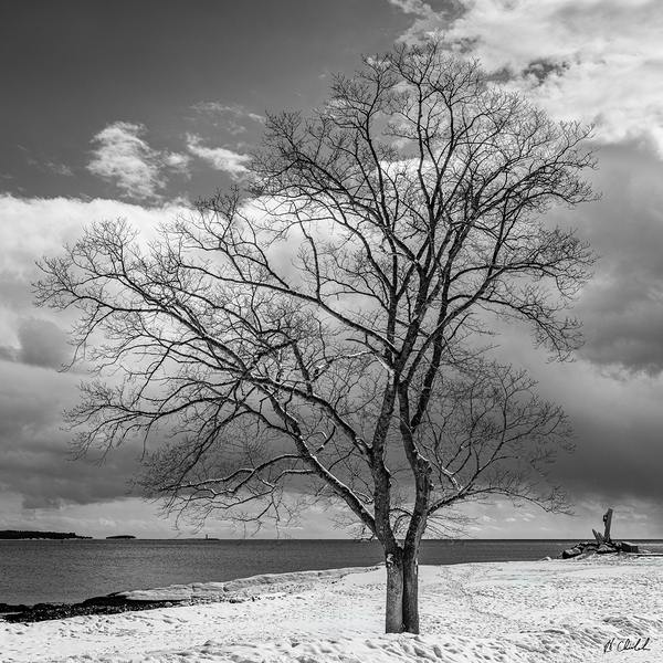 Winter at the Waterfront by Hugh Chisholm Photography
