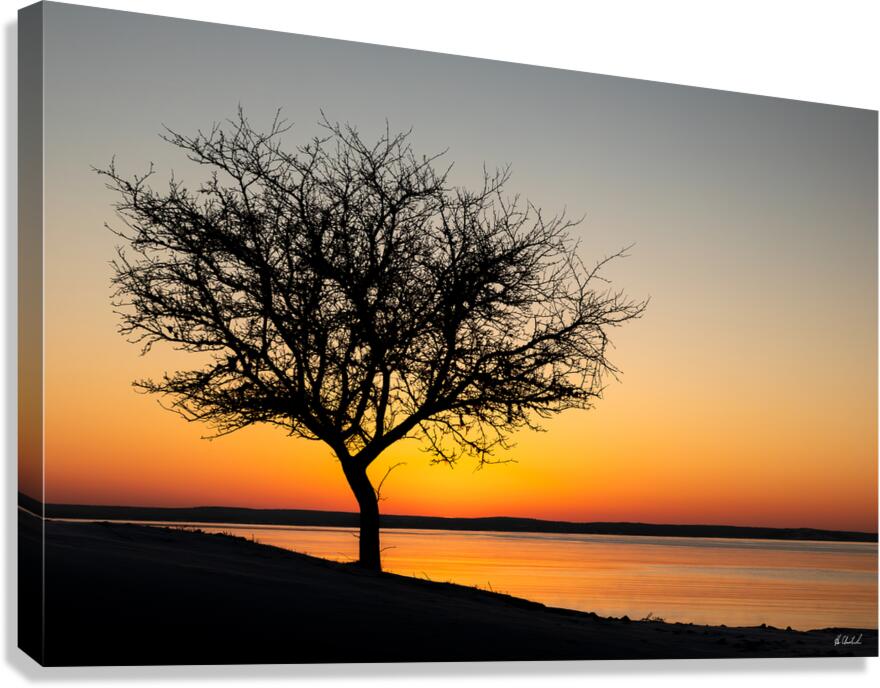Morning Golden Hour Canvas Print