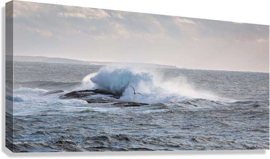 Flying Low Canvas Print