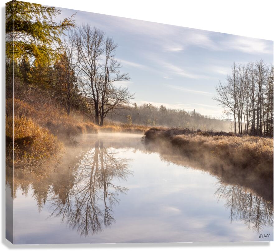 Mirror Image Canvas Print