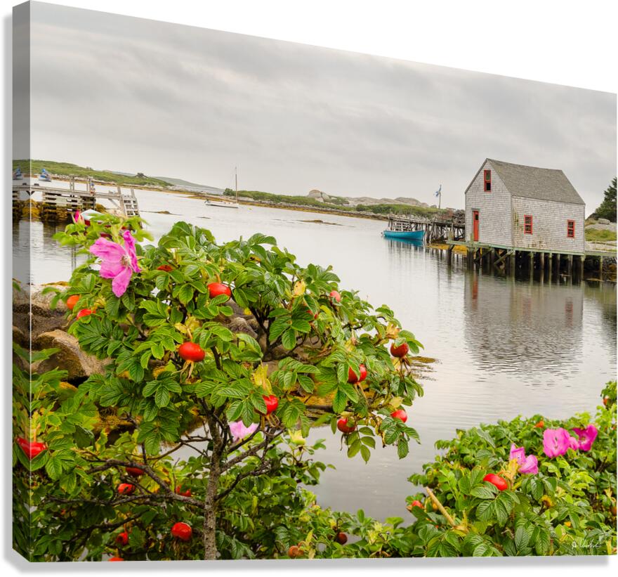 Prospect Fishing Shed Canvas Print