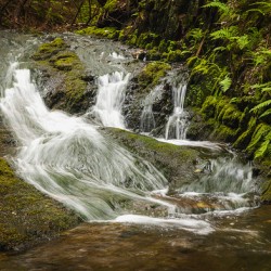 Kentville Ravine Waterfall