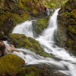 Waterfall Among the Moss