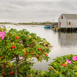 Prospect Fishing Shed