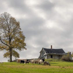 The old farmhouse on the hill