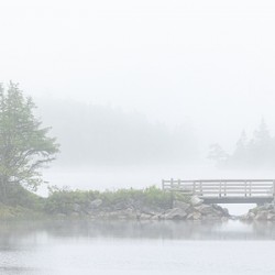 Cranberry Lake Bridge