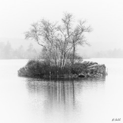 Island In the Lake