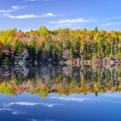 Labrador Lake Autumn Panorama