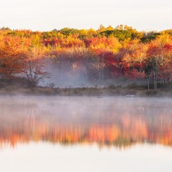 Misty Fall Morning