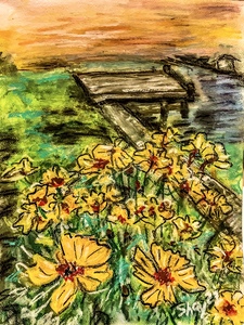 Lazy eyed susan at coast 0723
