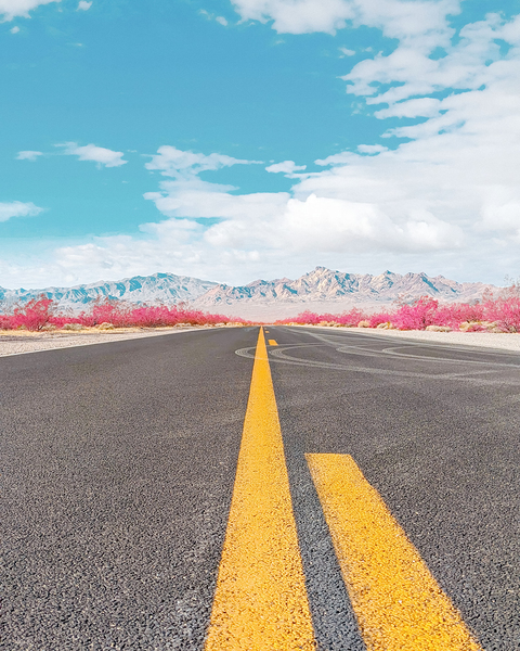 Road to Death Valley Print