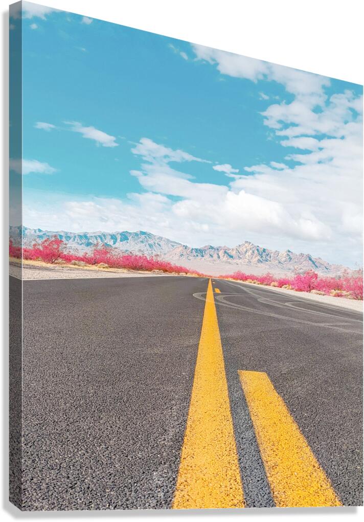 Road to Death Valley Canvas Print