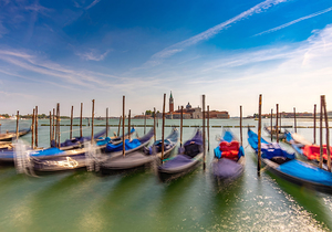 The Venetians