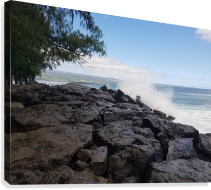 Hilo Bay Canvas Print