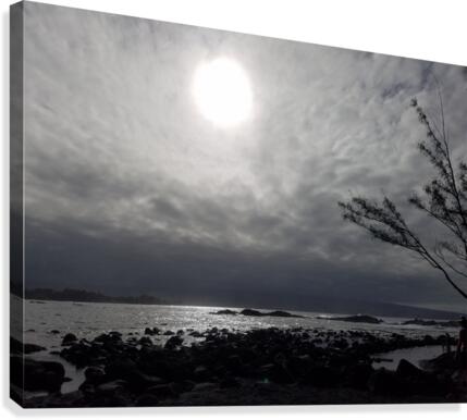 CloudsandMoon1 Canvas Print