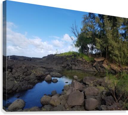 HiloBay5 Canvas Print
