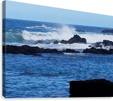 HiloBay3 Canvas Print
