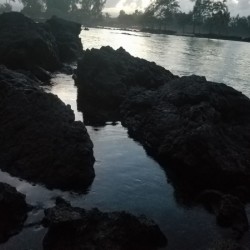 HiloBayBW1