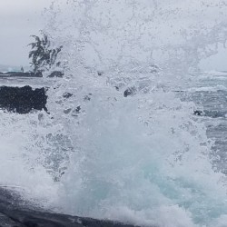 Hilo Bay Tide