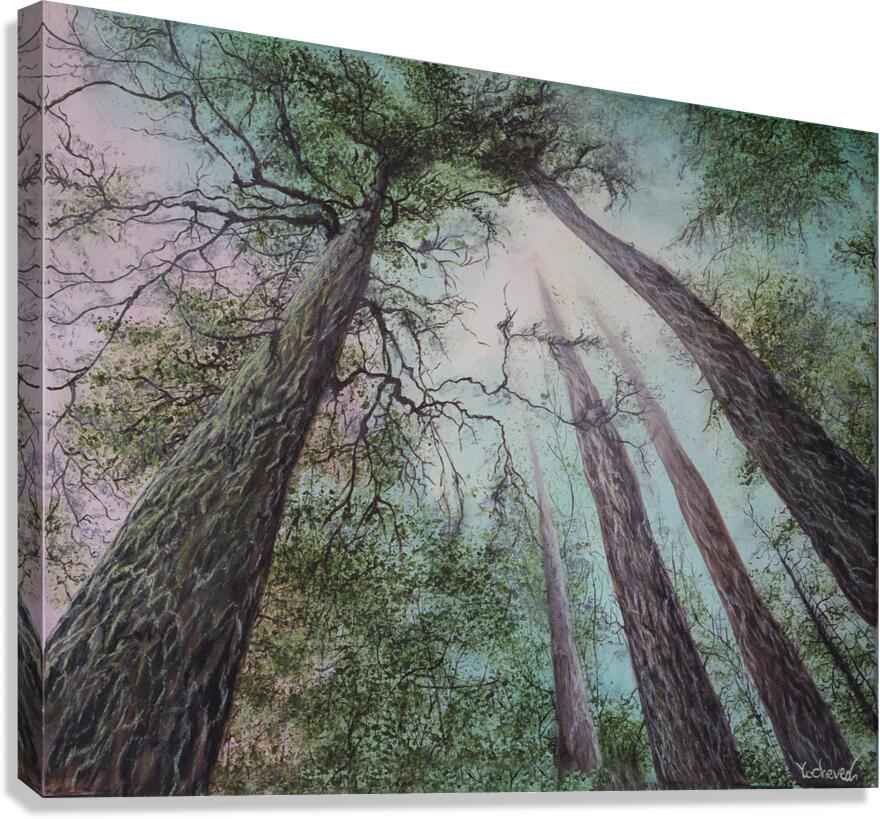 Look Up  Canvas Print