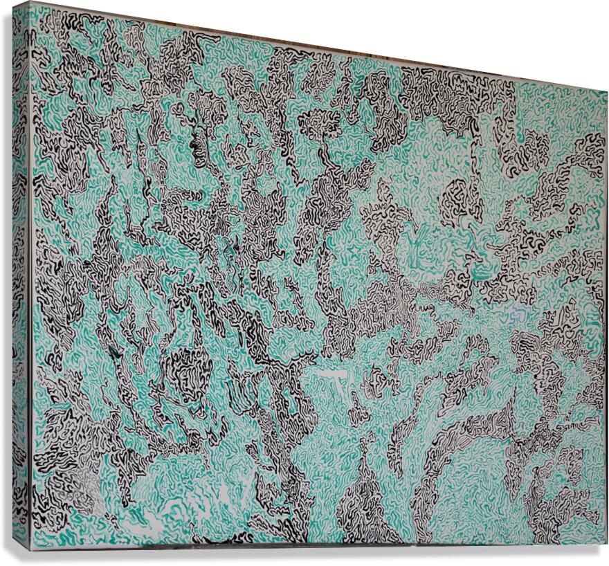 Doodling Canvas Print