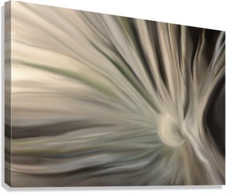 Dandelion Abstraction Canvas Print