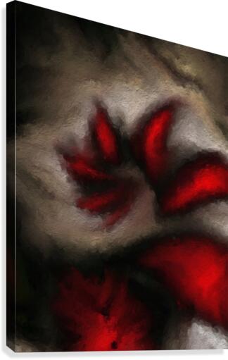 Fractal Abstract Canvas Print