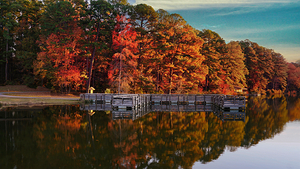 Reflection of October